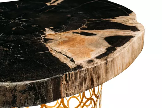 Журнальный стол бинтау из окаменелого дерева 381148