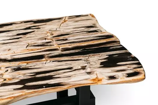 Журнальный стол бинтау из окаменелого дерева 381119