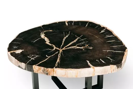 Журнальный стол бинтау из окаменелого дерева 381071