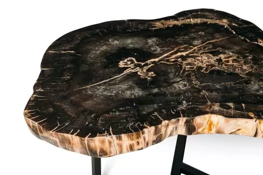 Журнальный стол бинтау из окаменелого дерева 381088