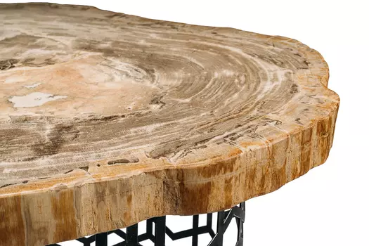 Журнальный стол бинтау из окаменелого дерева 381134