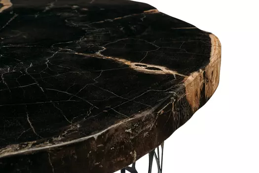 Журнальный стол бинтау из окаменелого дерева 381149