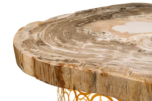 Журнальный стол бинтау из окаменелого дерева 381133