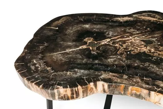 Журнальный стол бинтау из окаменелого дерева 381109