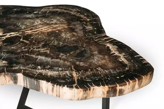 Журнальный стол бинтау из окаменелого дерева 381093