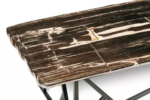Журнальный стол бинтау из окаменелого дерева 381127