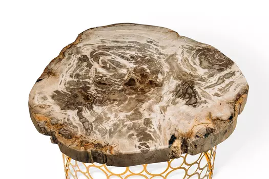 Журнальный стол палиат из окаменелого дерева 381060