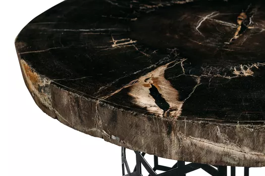 Журнальный стол палиат из окаменелого дерева 381205