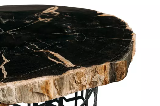 Журнальный стол палиат из окаменелого дерева 381456