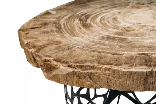 Журнальный стол палиат из окаменелого дерева 381049