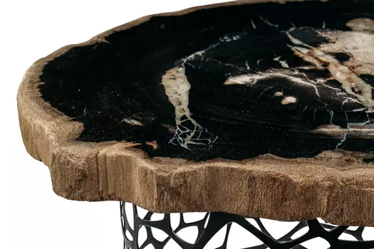 Журнальный стол палиат из окаменелого дерева 381460