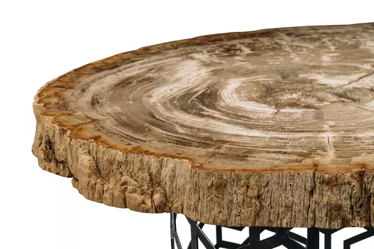 Журнальный стол палиат из окаменелого дерева 381617