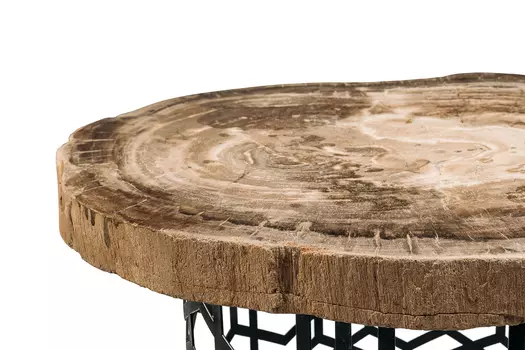 Журнальный стол палиат из окаменелого дерева 381634