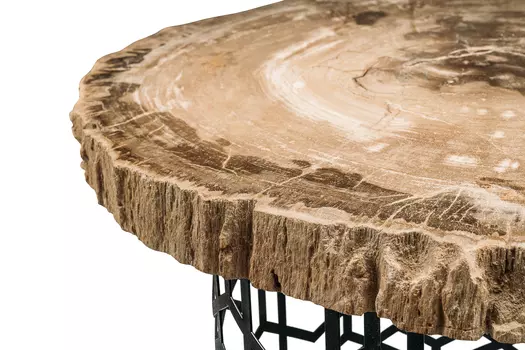 Журнальный стол палиат из окаменелого дерева 381630