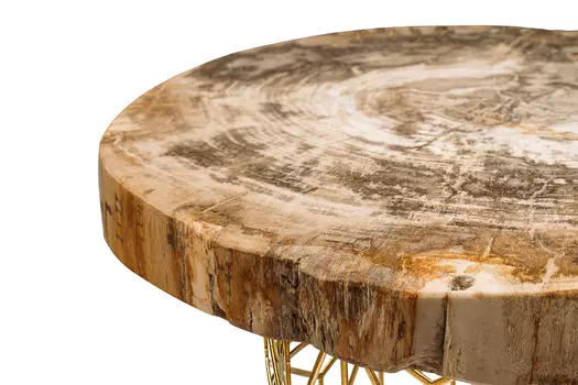 Журнальный стол палиат из окаменелого дерева 381189