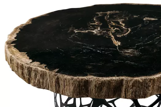 Журнальный стол палиат из окаменелого дерева 381488