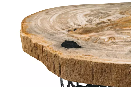 Журнальный стол палиат из окаменелого дерева 381632