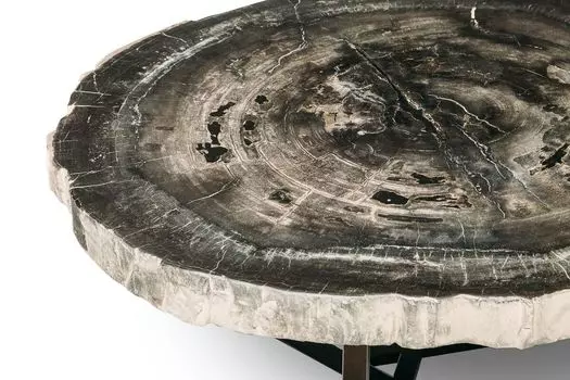 Журнальный стол палиат из окаменелого дерева 381020