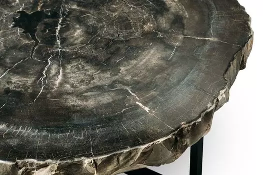 Журнальный стол палиат из окаменелого дерева 381021