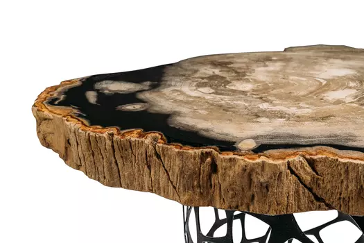 Журнальный стол палиат из окаменелого дерева 381475