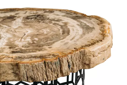 Журнальный стол палиат из окаменелого дерева 381621