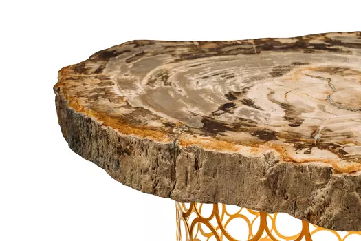 Журнальный стол палиат из окаменелого дерева 381471