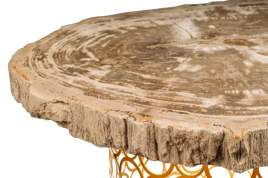 Журнальный стол палиат из окаменелого дерева 381615