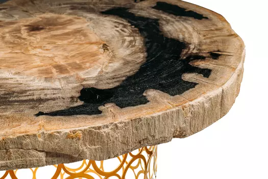 Журнальный стол палиат из окаменелого дерева 381663