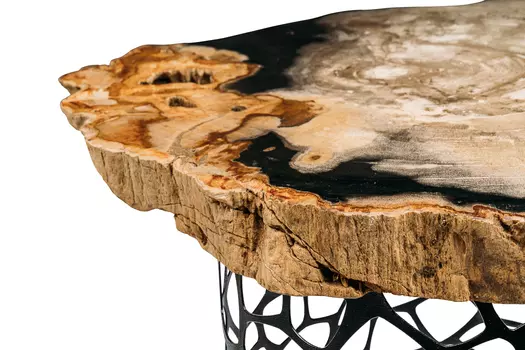 Журнальный стол палиат из окаменелого дерева 381474