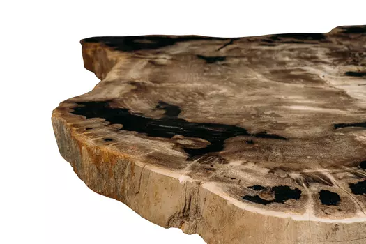 Журнальный стол палиат из окаменелого дерева 381496
