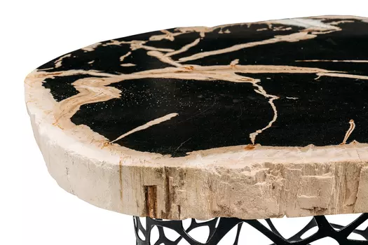 Журнальный стол палиат из окаменелого дерева 381490