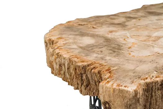 Журнальный стол палиат из окаменелого дерева 381629