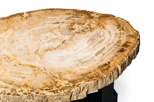 Журнальный стол палиат из окаменелого дерева 381007