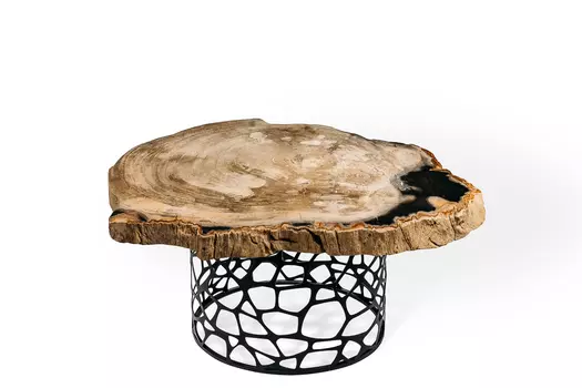 Журнальный стол палиат из окаменелого дерева 381477