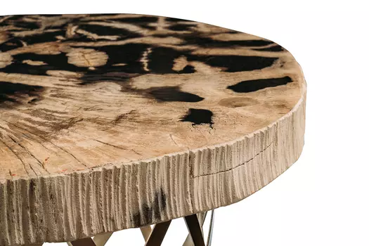 Журнальный стол палиат из окаменелого дерева 381659