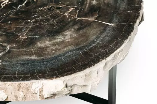 Журнальный стол палиат из окаменелого дерева 381019