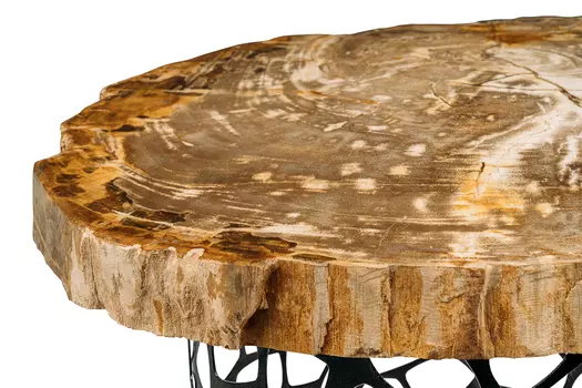 Журнальный стол палиат из окаменелого дерева 381616