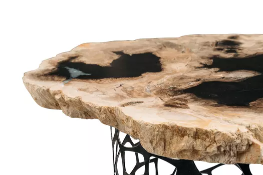 Журнальный стол палиат из окаменелого дерева 381624