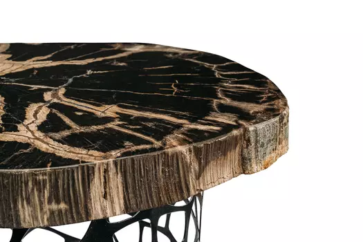 Журнальный стол палиат из окаменелого дерева 381662