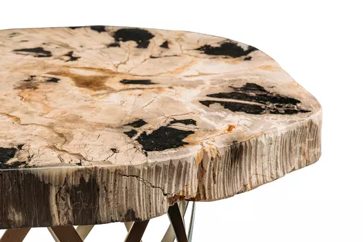 Журнальный стол палиат из окаменелого дерева 381669
