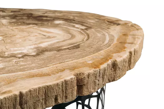 Журнальный стол палиат из окаменелого дерева 381631
