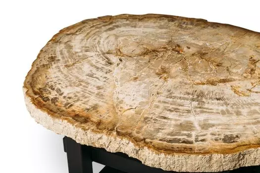 Журнальный стол палиат из окаменелого дерева 381014