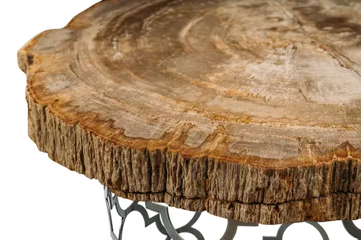 Журнальный стол палиат из окаменелого дерева 381222