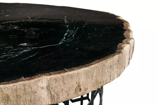 Журнальный стол палиат из окаменелого дерева 381494