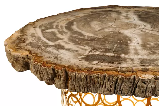 Журнальный стол палиат из окаменелого дерева 381619