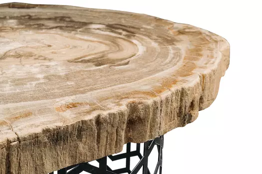 Журнальный стол палиат из окаменелого дерева 381627