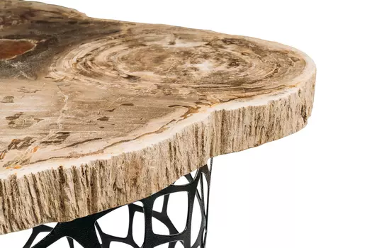Журнальный стол палиат из окаменелого дерева 381608