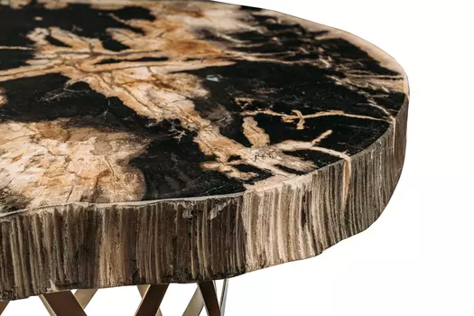 Журнальный стол палиат из окаменелого дерева 381671