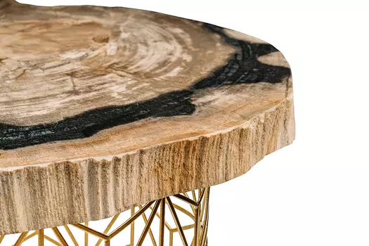 Журнальный стол палиат из окаменелого дерева 381665