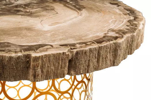 Журнальный стол палиат из окаменелого дерева 381633